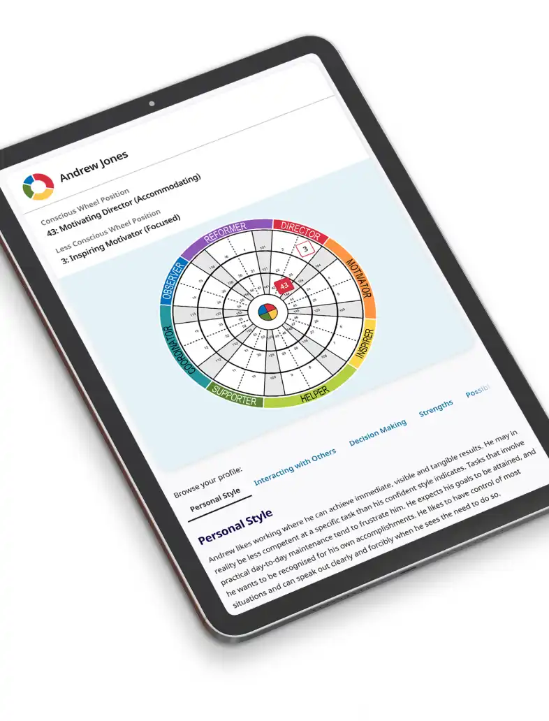Insights Discovery Tablet View